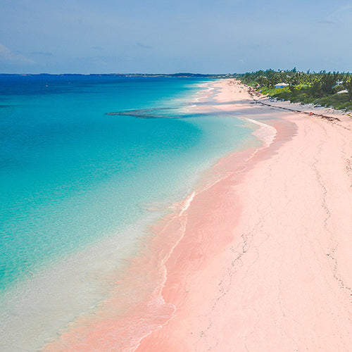 
Travel Guide-Pink Beaches