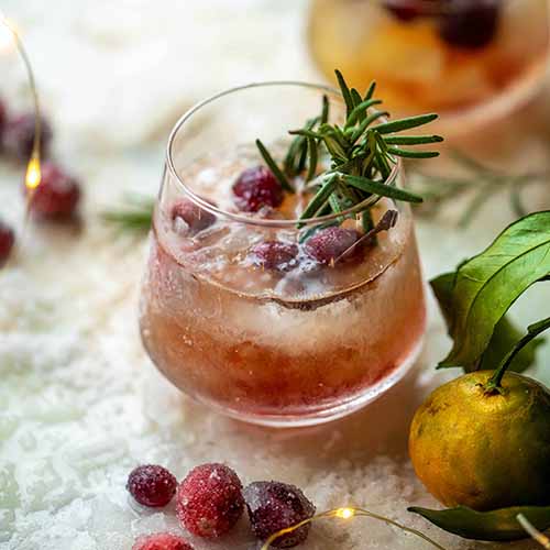 
Recipes-Most Festive Drinks Ever