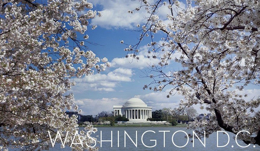 
City Guide: Meg Biram on Washington D.C.