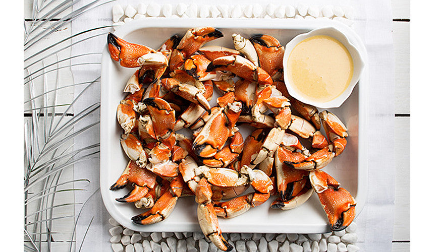 
VSB Loves Stone Crab Season