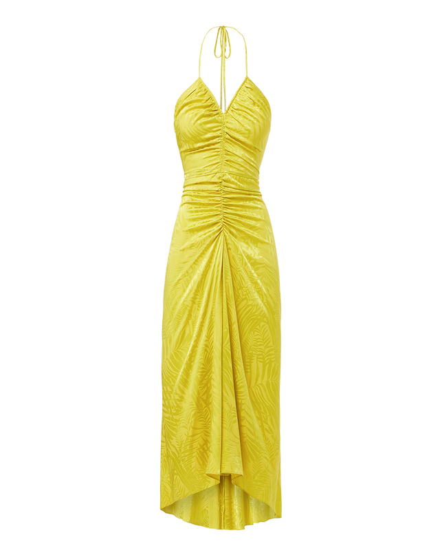 Aldana Stretch-Silk Dress