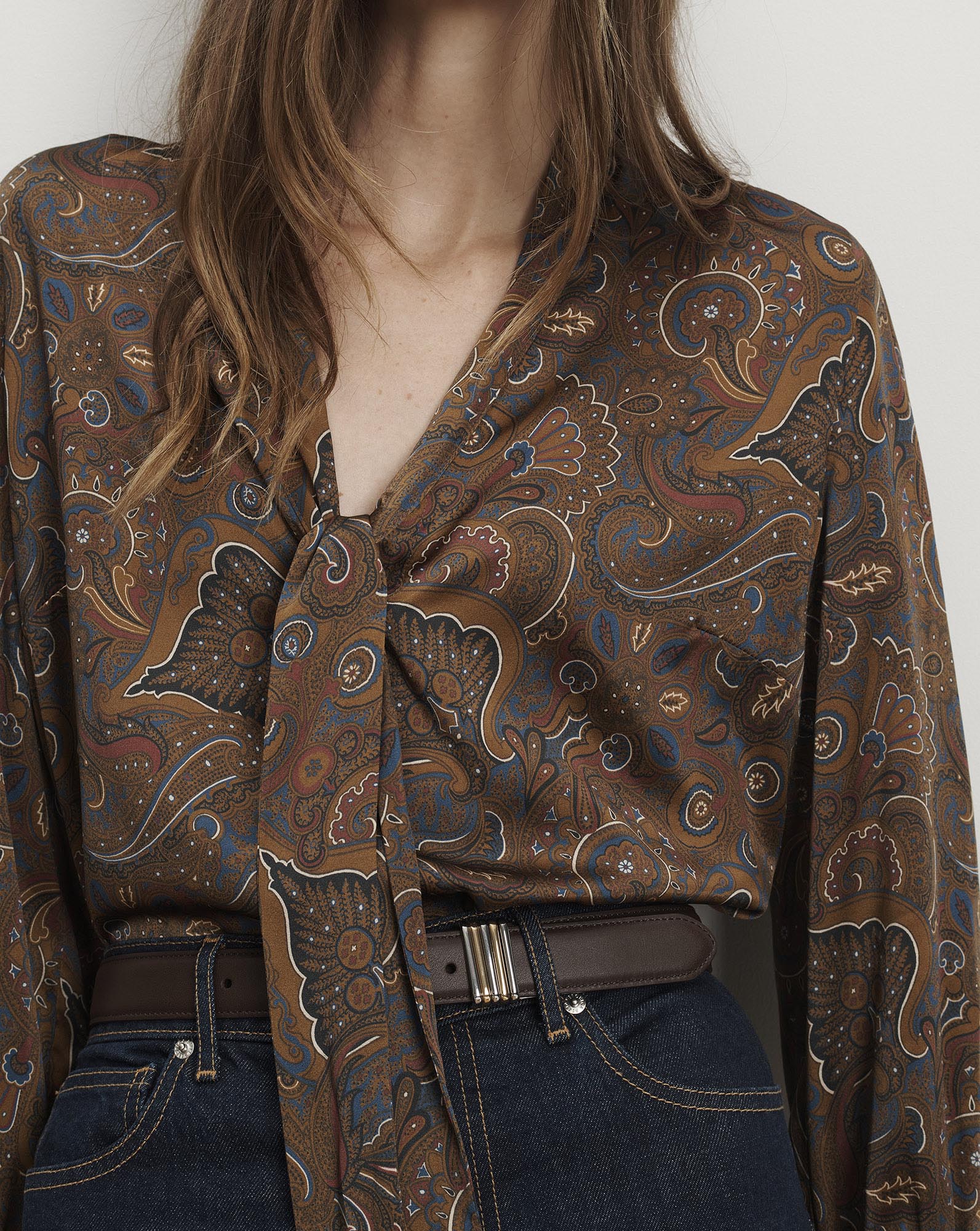 Francine Tie-Neck Blouse in Brown Paisley Walnut Multi | Veronica